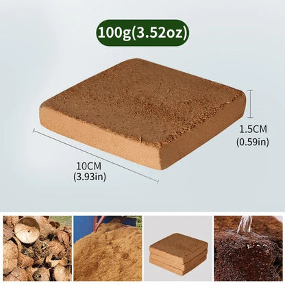 ⏳Spécial à durée limitée⏰Terreau nutritif biologique en fibre de noix de coco – Pour une croissance saine et durable de vos plantes 🌿🌱