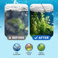🔥Vente chaude!🔥 Clarificateur d'eau d'aquarium puissant