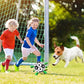 🐕Jouet de football pour chien⚽