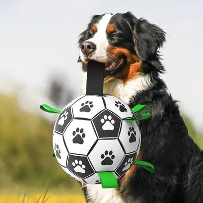 🐕Jouet de football pour chien⚽