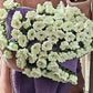 Couverture bouquet au crochet