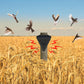 🕊️✨Répulsif solaire anti-oiseaux d'extérieur étanche
