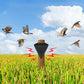 🕊️✨Répulsif solaire anti-oiseaux d'extérieur étanche