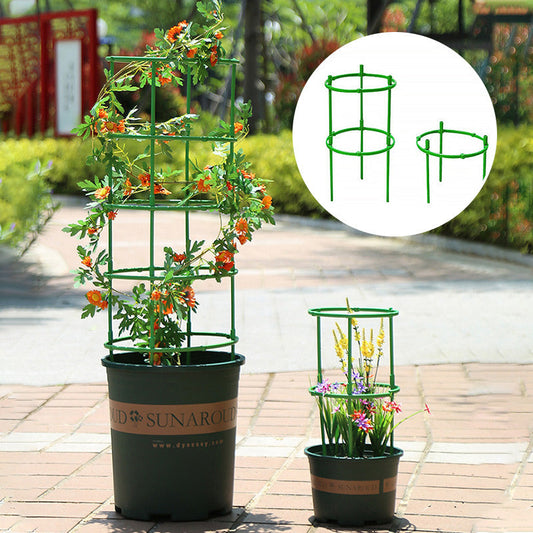 🪴Tuteurs amovibles pour plantes, fleurs et fruits🔥50% de réduction pour une durée limitée