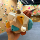 ⏳Spécial à durée limitée⏰Outil d'entraînement portable pour l'escalade🪨