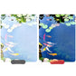 ⏳Promotion Éclair⏰Objectif magnétique 2-en-1 avec filtre CPL & filtre étoile🪞