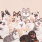 ⏳Spécial à durée limitée⏰Calendrier de bureau 3D Cats & Dogs 2026😻📆