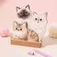 ⏳Spécial à durée limitée⏰Calendrier de bureau 3D Cats & Dogs 2026😻📆