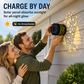 Solar Outdoor Holiday Wall Projection Light with IP65 Weatherproofing