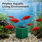 ⏳ Time-Limited Special ✨ Activated Carbon Filter Cube — Honeycomb Filtration for Clear Aquarium Water 🛡️