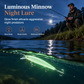 ⏳Limited-time 50% off⏰Luminous Minnow Hard Bait Artificial Lure for Night Fishing (7cm)🎣🌙✨
