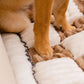 Couverture de tapis de sol pour animaux de compagnie de couleur crème et à carreaux