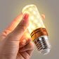 Lampes LED à économie d'énergie
